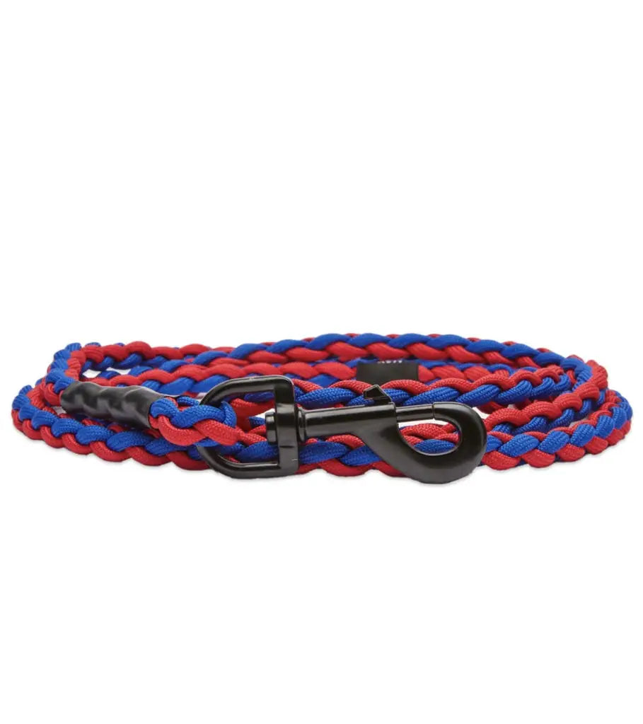 HAY Braided Dog Lash