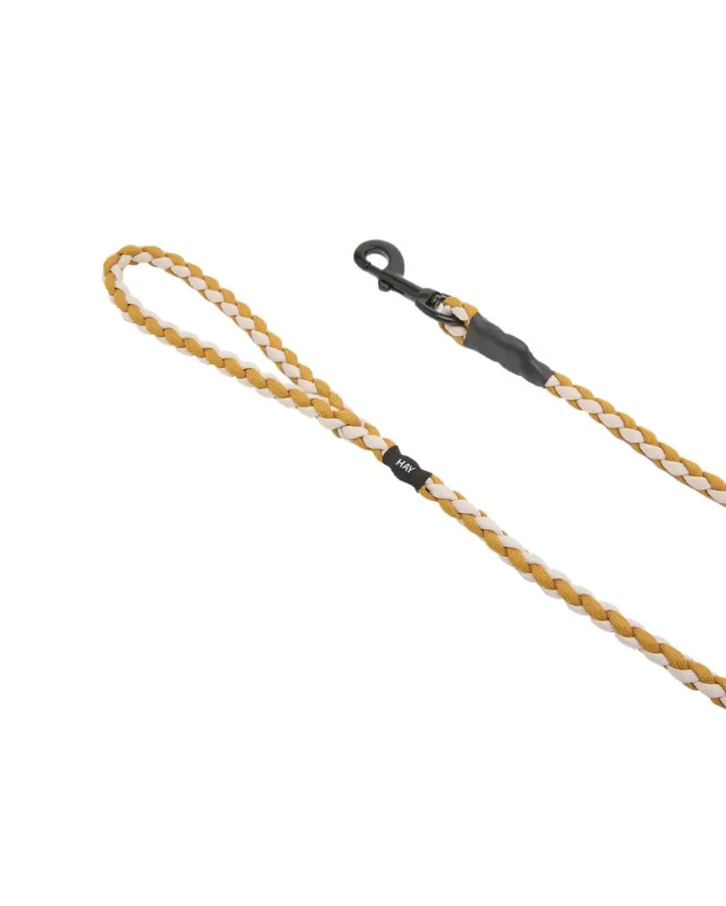 HAY Braided Dog Lash