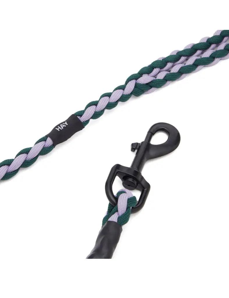 HAY Braided Dog Lash