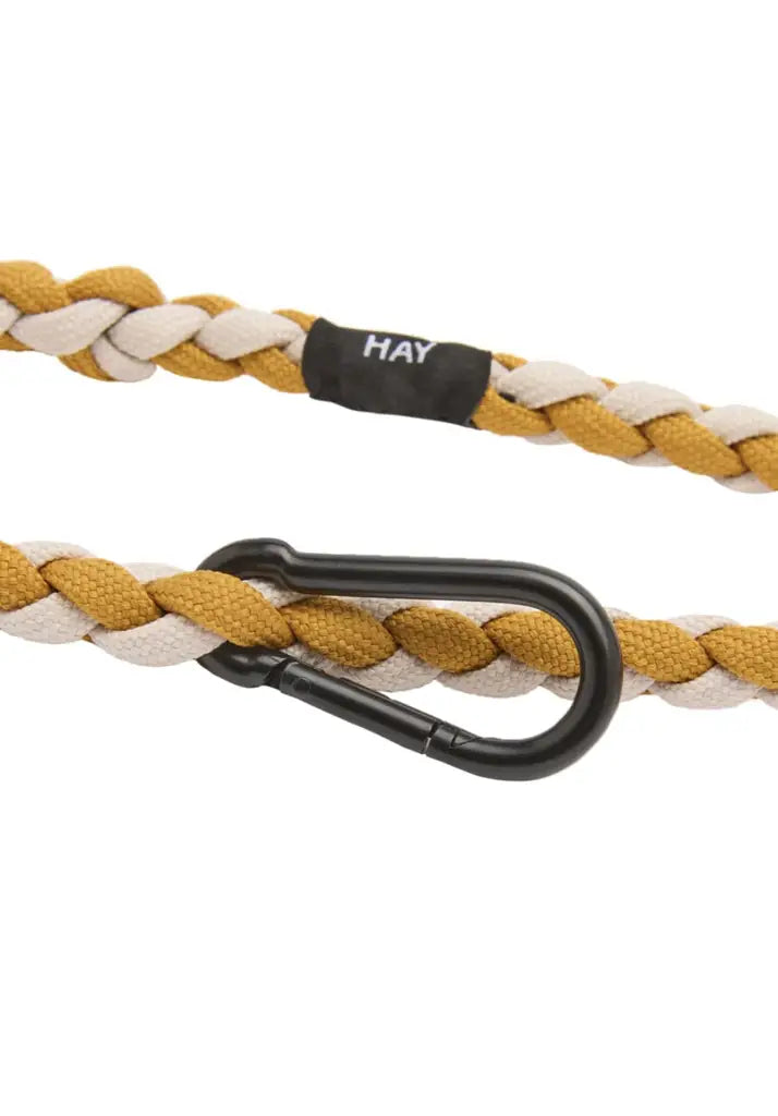 HAY Braided Dog Lash