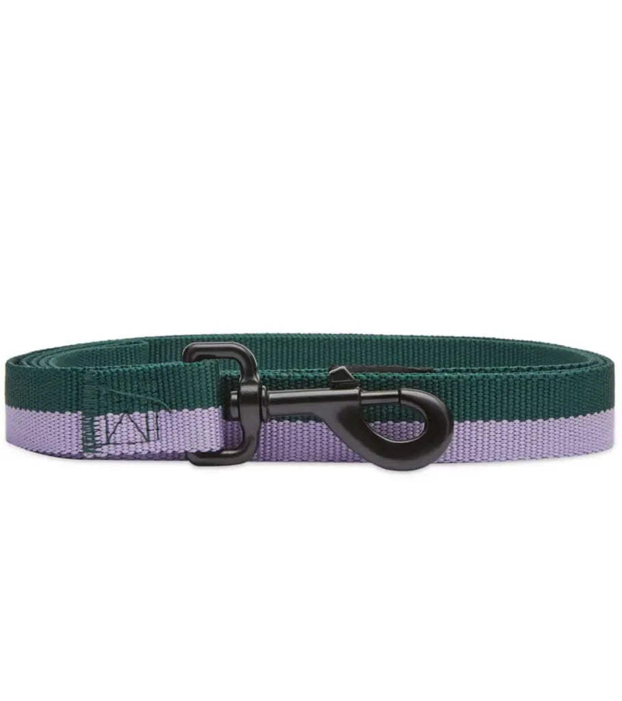 HAY Flat Dog Leash