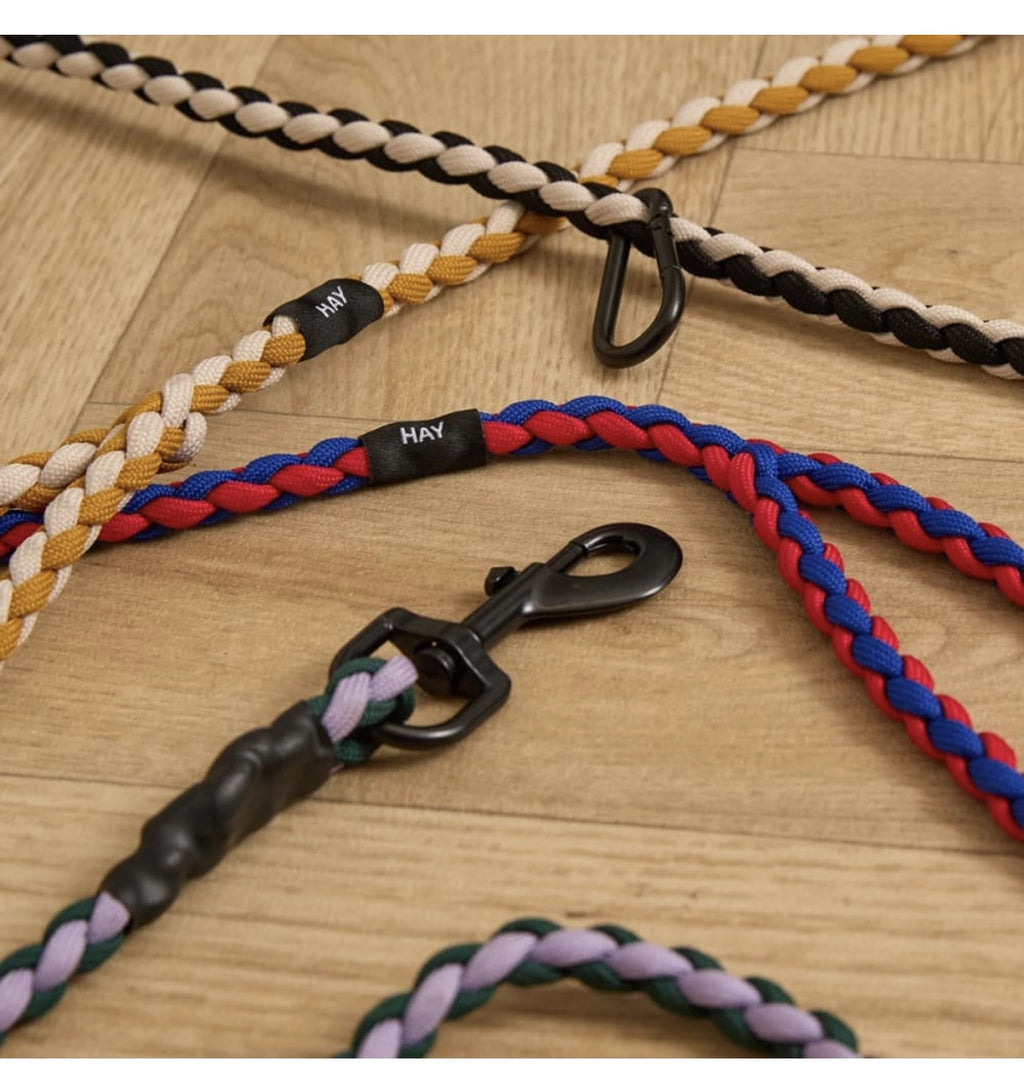 HAY Braided Dog Lash