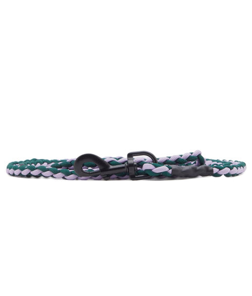 HAY Braided Dog Lash