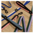 HAY Flat Dog Leash