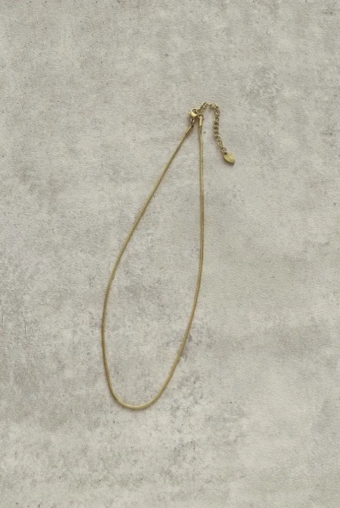JP Snake Chain Stainless Steel Necklace【UNISEX ACCESSORIES】