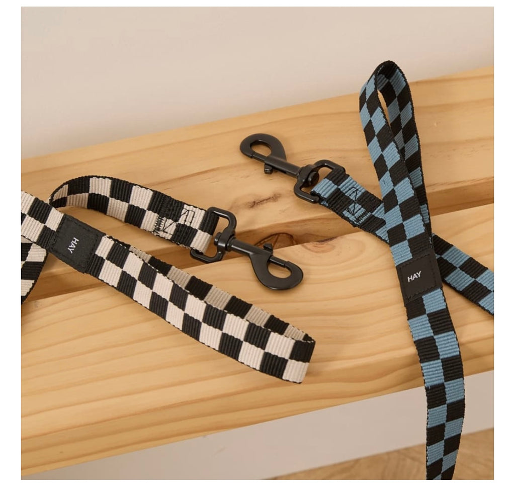 HAY Check Dog Leash
