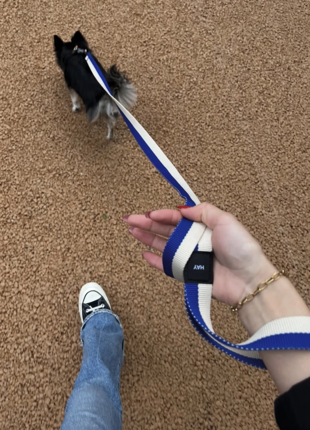 HAY Flat Dog Leash