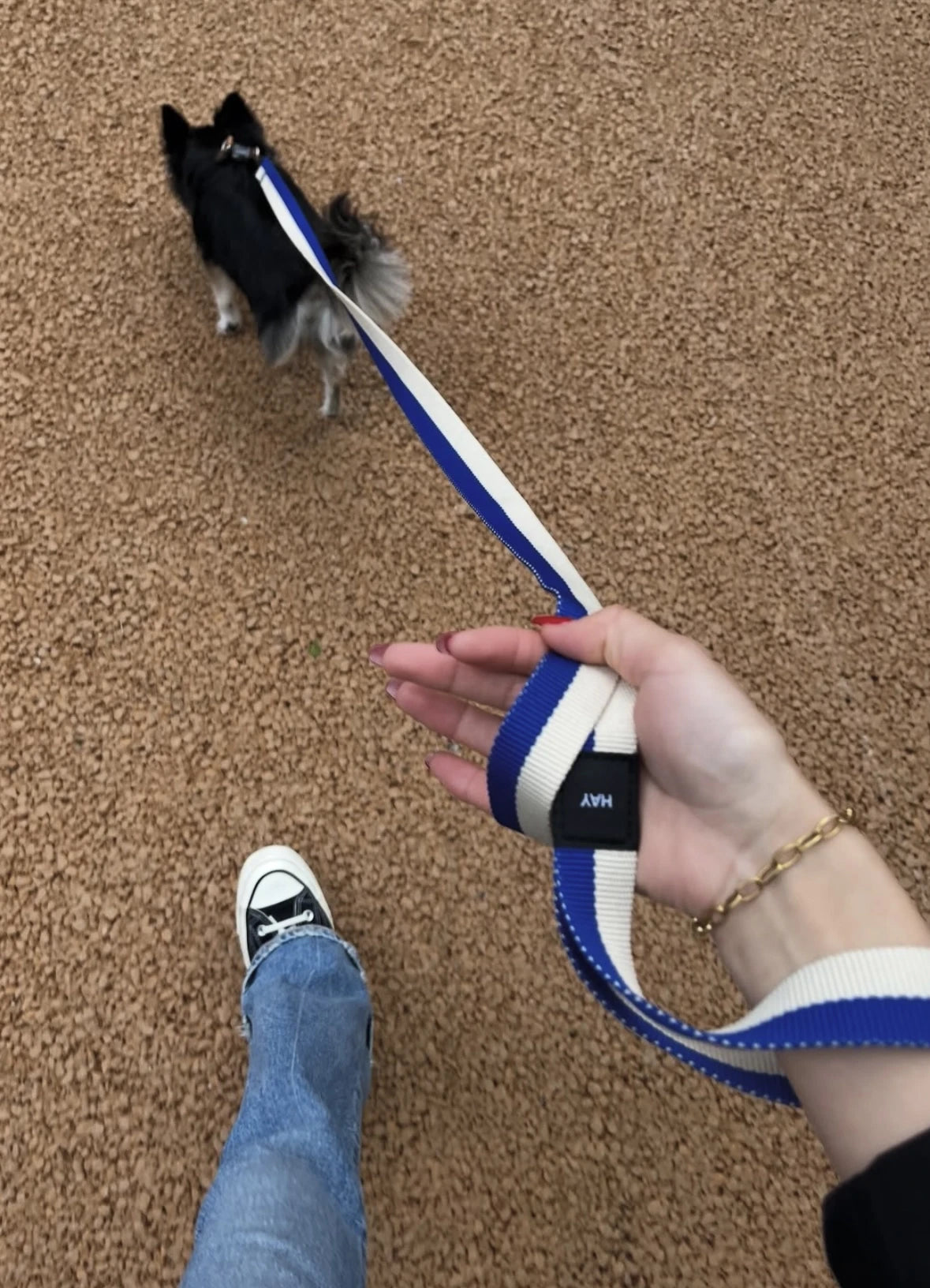 HAY Flat Dog Leash