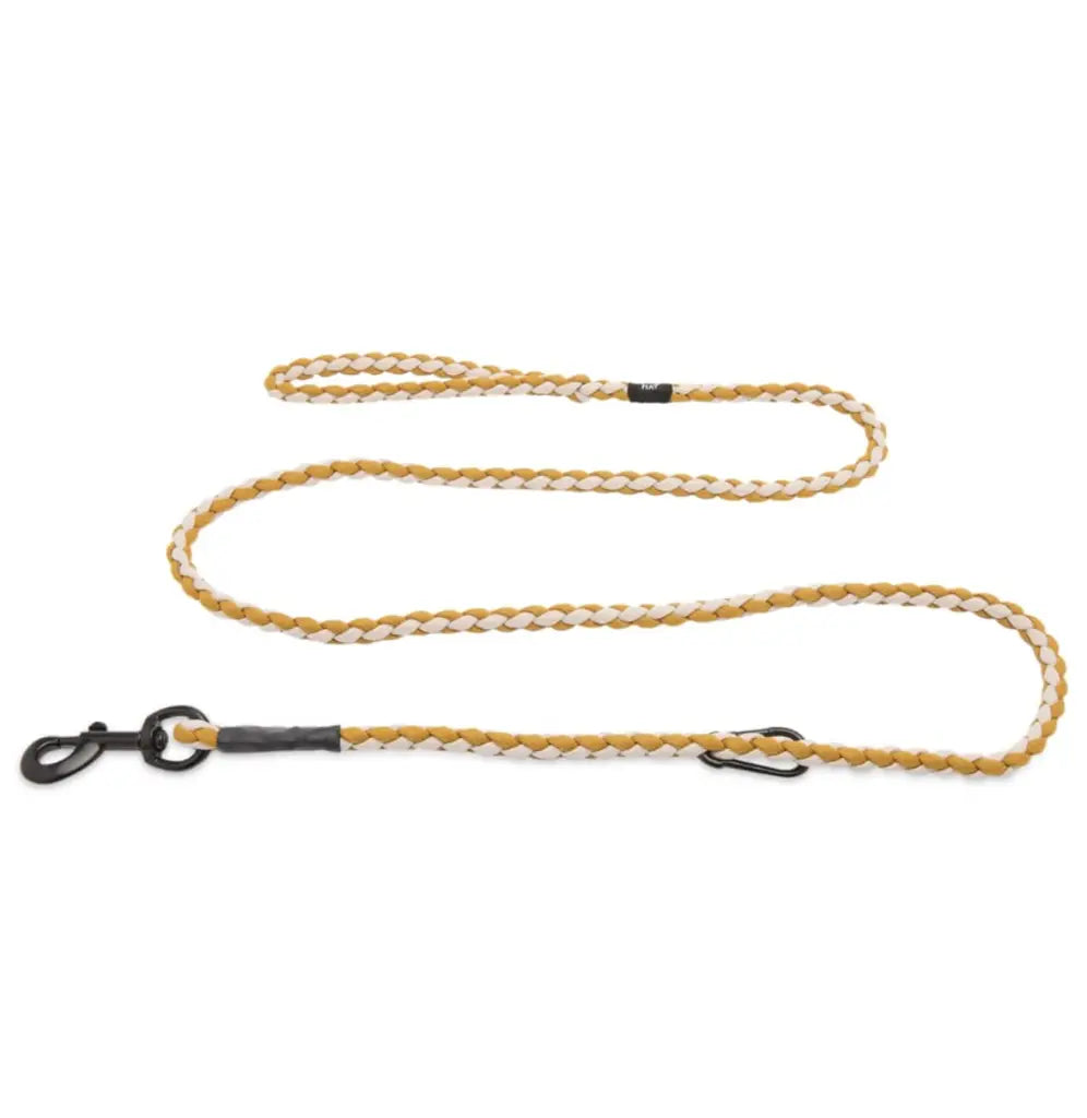 HAY Braided Dog Lash